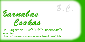 barnabas csokas business card